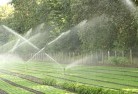 Cooperabunglandscaping-water-management-and-drainage-17.jpg; ?>